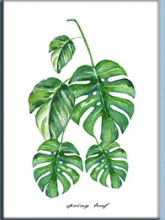Canvas Painting, Spray Painting, Green Plants, Set Painting, Decoration Painting, Apartment Hotel With Painting, Oil Painting