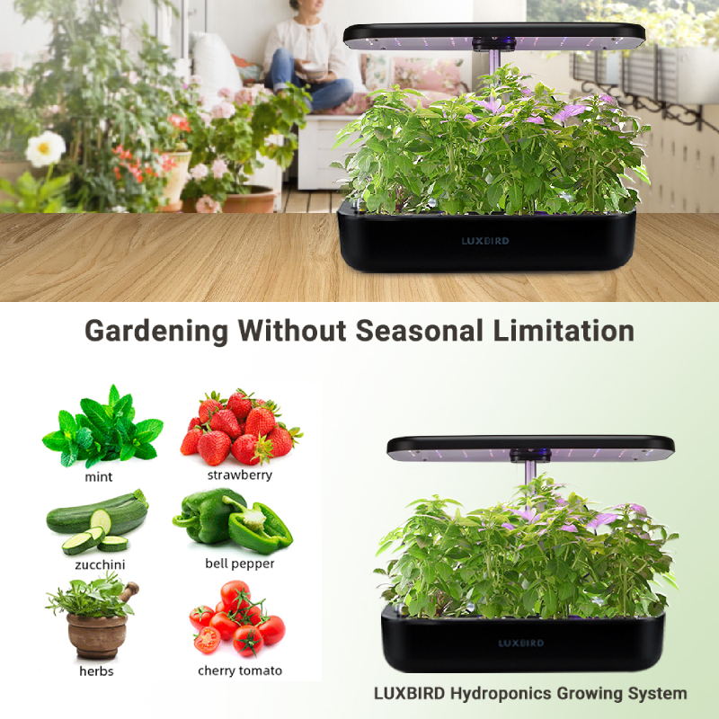 Automatic Nursery Pots Flower Vegetable Garden Pots Planter Hydroponics Growing System Indoor Herb Gardening Starter Kit