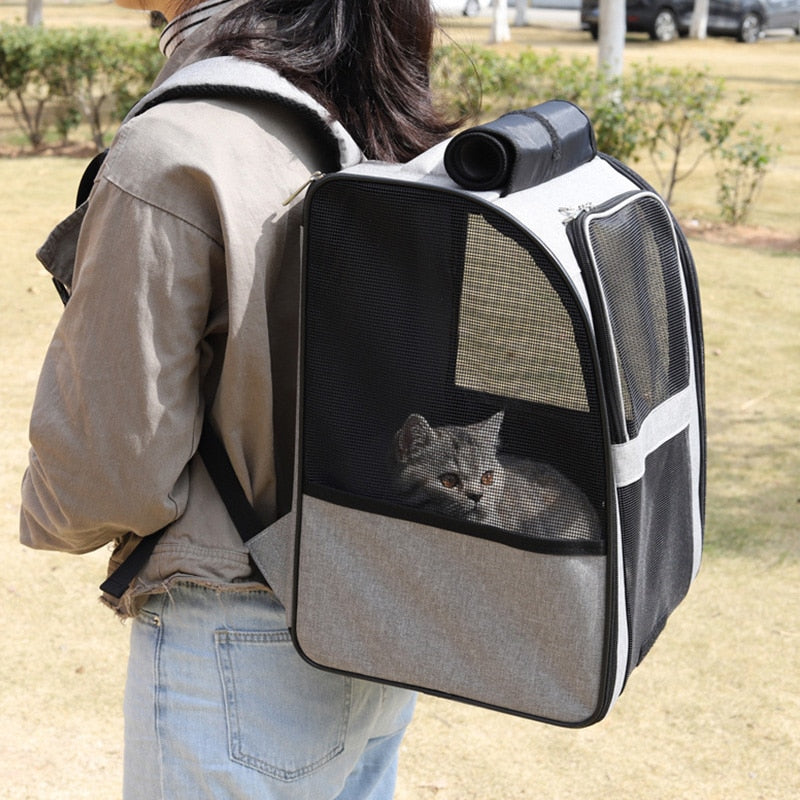 Pet Carrier Bag Cat Bag Pets Backpack Outgoing Carry Cats Double Shoulder Bag Travel Breathable Puppy Bags Carriers Supplies