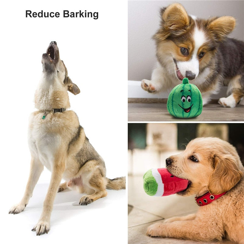 10/20/50 Pack Plush Toys for Small Medium Dog - Fleece Toys
