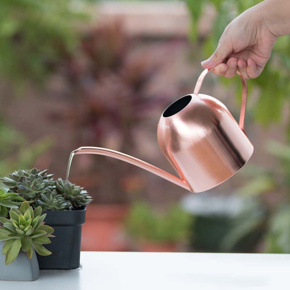 Stainless Steel Watering Pot For Flower Waterers Bottle Watering Sprinkler Portable Household Potted Plant Waterer Garden Tool