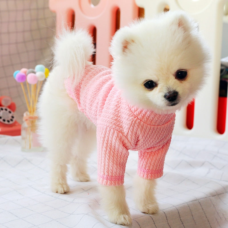 PETCIRCLE Dog Puppy Clothes Wavy Crew Neck Shirt Fit Small Dog Pet Cat All seasons Pet Cute Costume Dog Clothes Dog Cozy Shirt