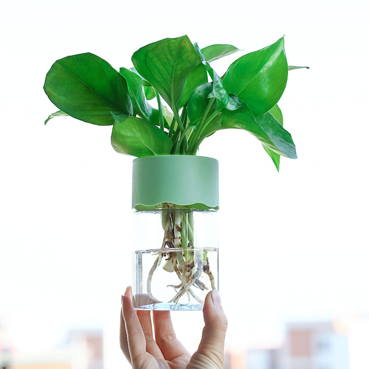 Transparent Flower Pot Water Planting Plant Pot Container Plastic Hydroponic Flowerpot Tabletop Plants Bonsai Home Decoration