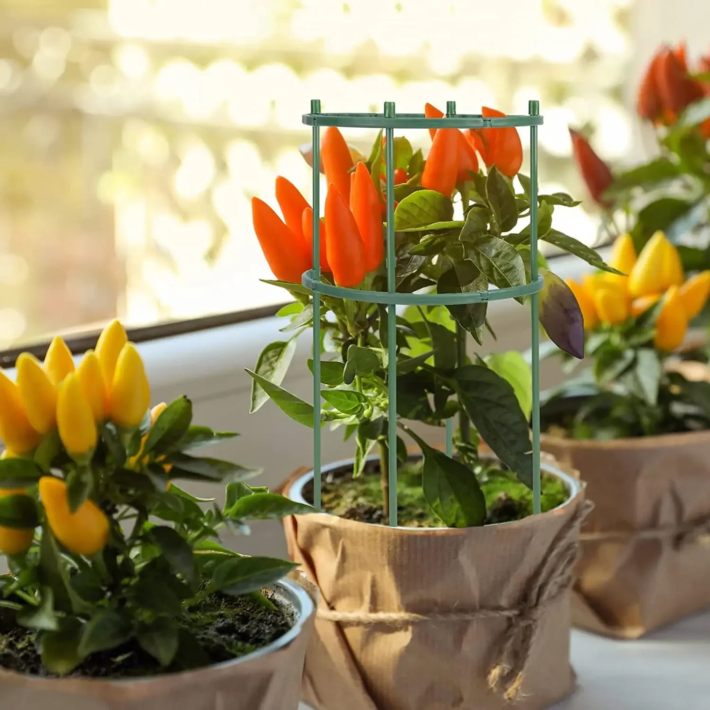 Plastic Plant Support Pile Stand Plant Support Pile for Flowers Greenhouses Arrangement Fixing Rod Holder Garden Tools