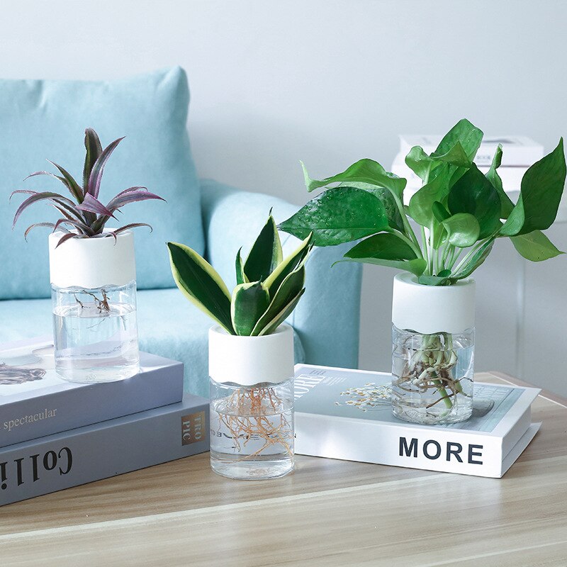 Transparent Flower Pot Water Planting Plant Pot Container Plastic Hydroponic Flowerpot Tabletop Plants Bonsai Home Decoration