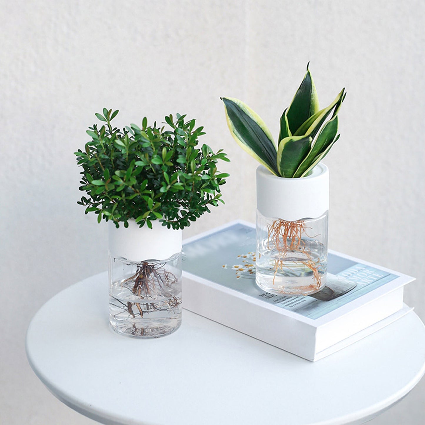 Transparent Flower Pot Water Planting Plant Pot Container Plastic Hydroponic Flowerpot Tabletop Plants Bonsai Home Decoration