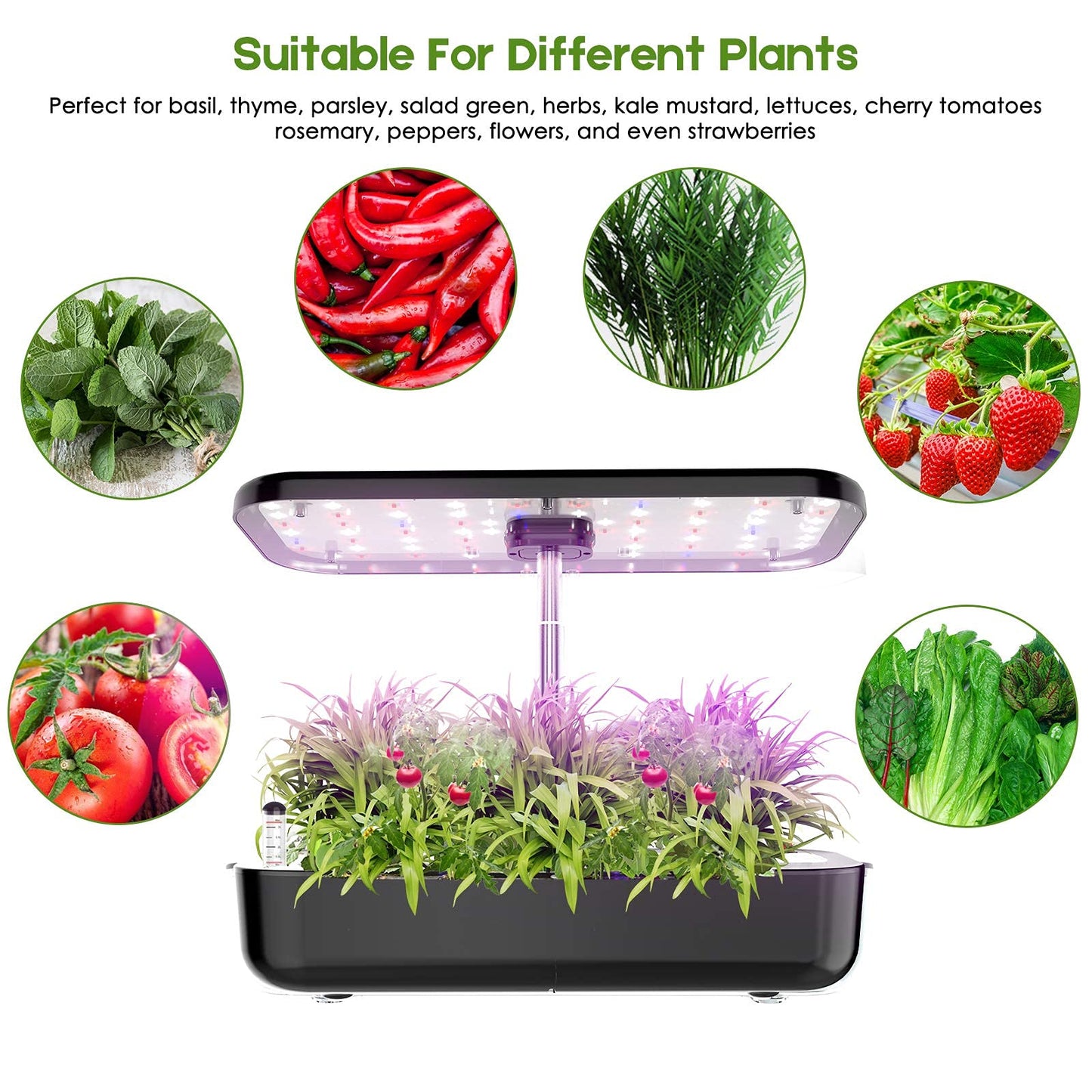 Hydroponics Growing System 12 Pods Indoor Herb Garden Starter Kit with LED Grow Light Smart Germination Kit Garden Planter