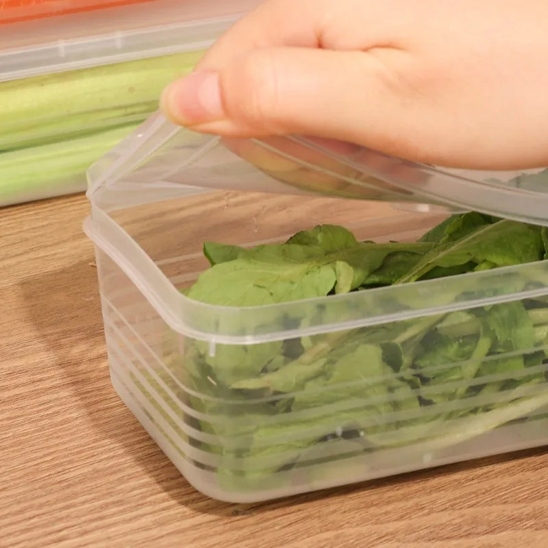 Fresh Box Refrigerator Storage Boxes Scallions Food Container with Lid Cold Crisper Sealed Kitchen Fresh Fruit Fridge Organiser