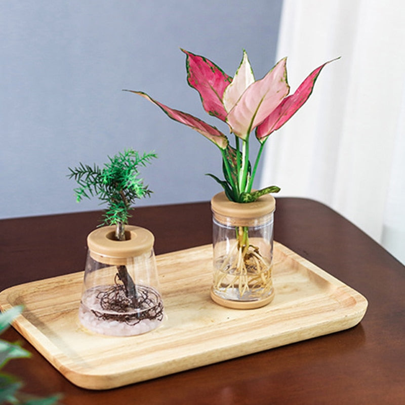 Mini Hydroponic Flower Pot Home Vase Decor Transparent Imitation Glass Soilless Plant Pots garden pots planters Home Decoration