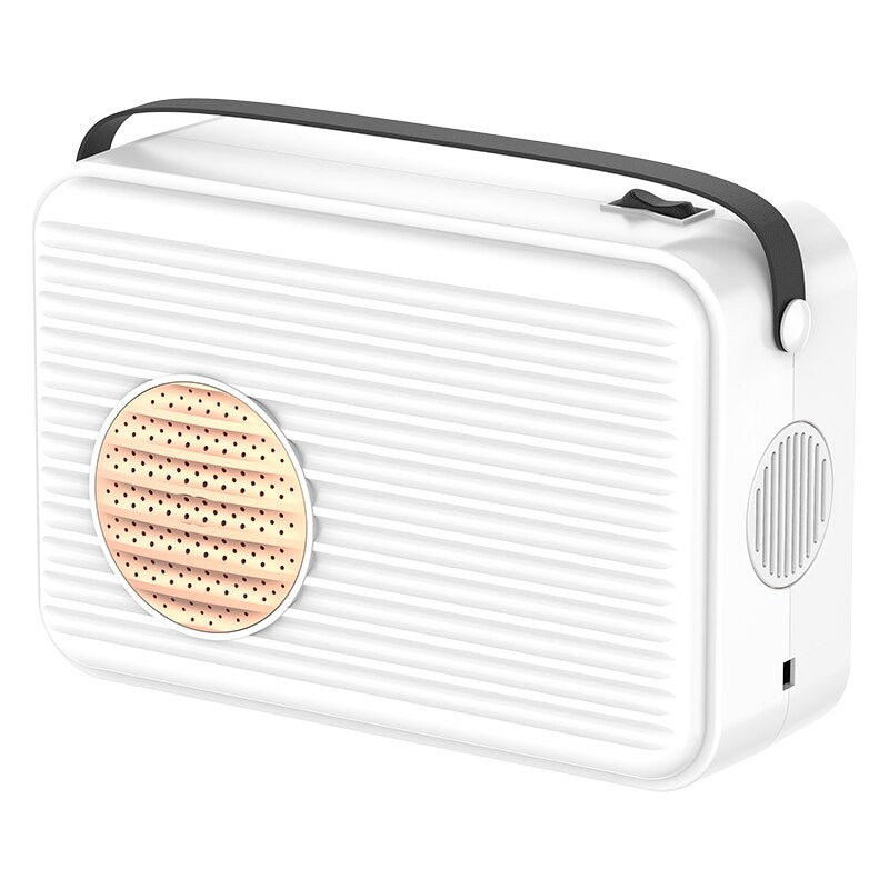 DMWD Electric Shoes Clothes Dryer Hot Air Fan Heater Bed Warmer Garment Baking Wardrobe Dehydrator Dehumidifier Pet Hair Blower