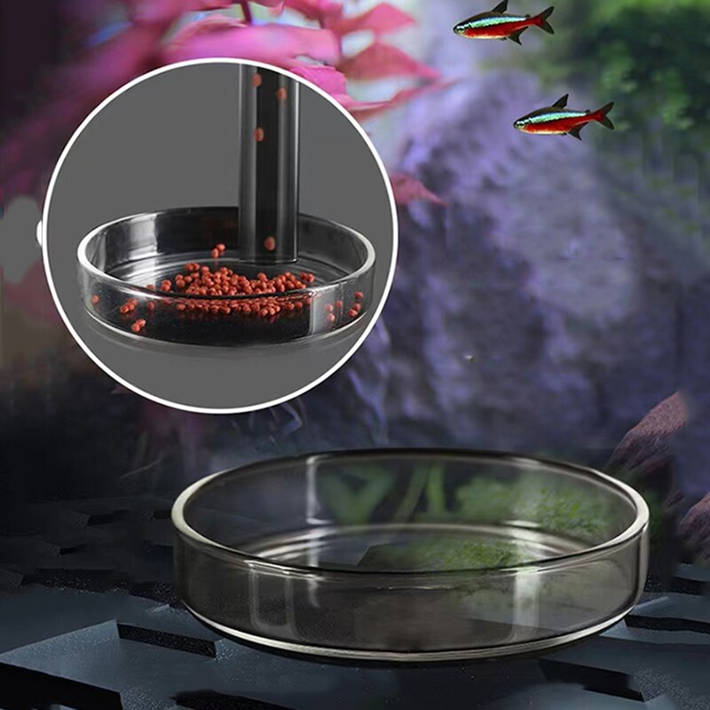 Glass Aquarium Feeder Tube Dish Transparent Fish Tank Shrimp Snail Food Feeder Bowl Aquarium Feeding Accessories Shrimp Feeders
