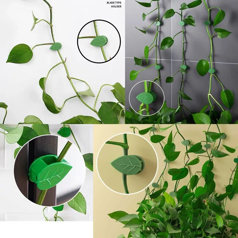 10-30Pcs Plant Climbing Wall Fixture Clips Acrylic Sticker Self-Adhesive Hook Plant Vine Traction Holder Indoor Outdoor Decor