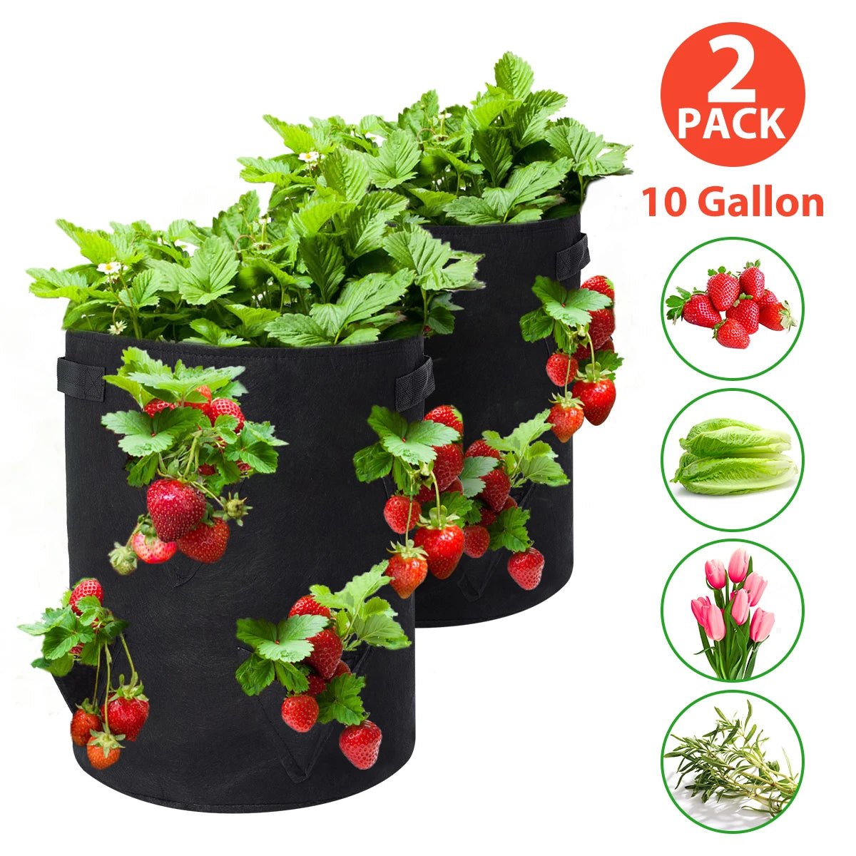 Upgrade Strawberry Grow Bags, 2/4/6 Pack 10 Gallon Planter with 8 Side Grow Pockets Breathable Growing Bag for Strawberries Grow
