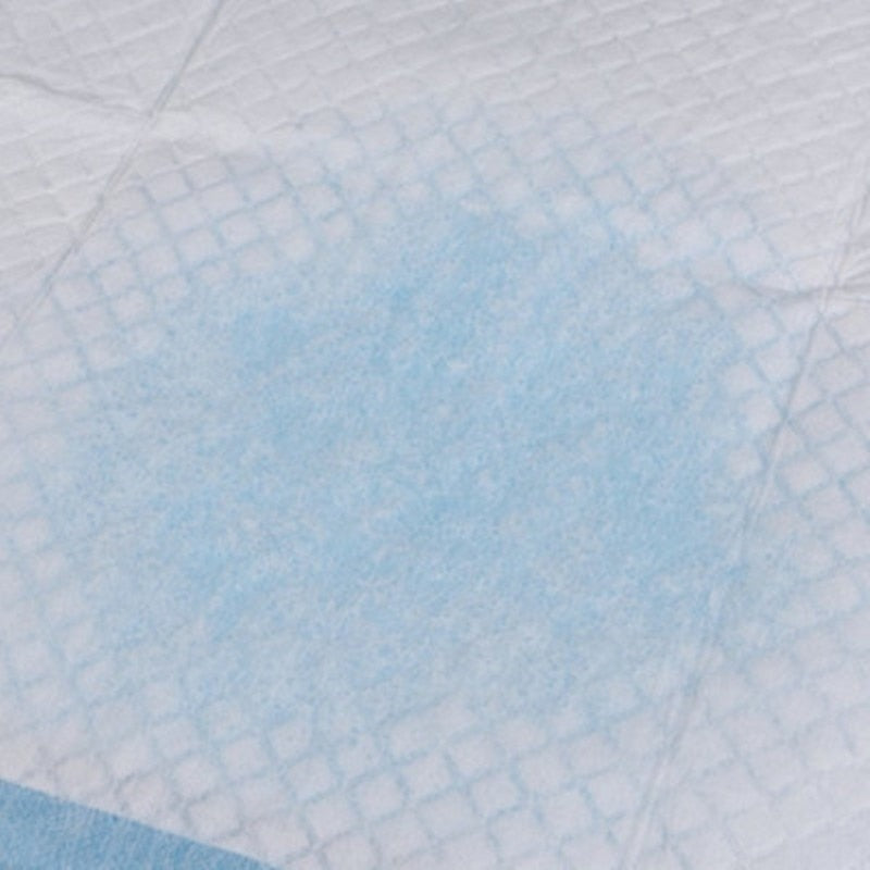 50/100pcs Dog Training Pee Pads Super Absorbent Pet Diaper Disposable Healthy Clean Nappy Mat for Pets Dairy Diaper Supplies