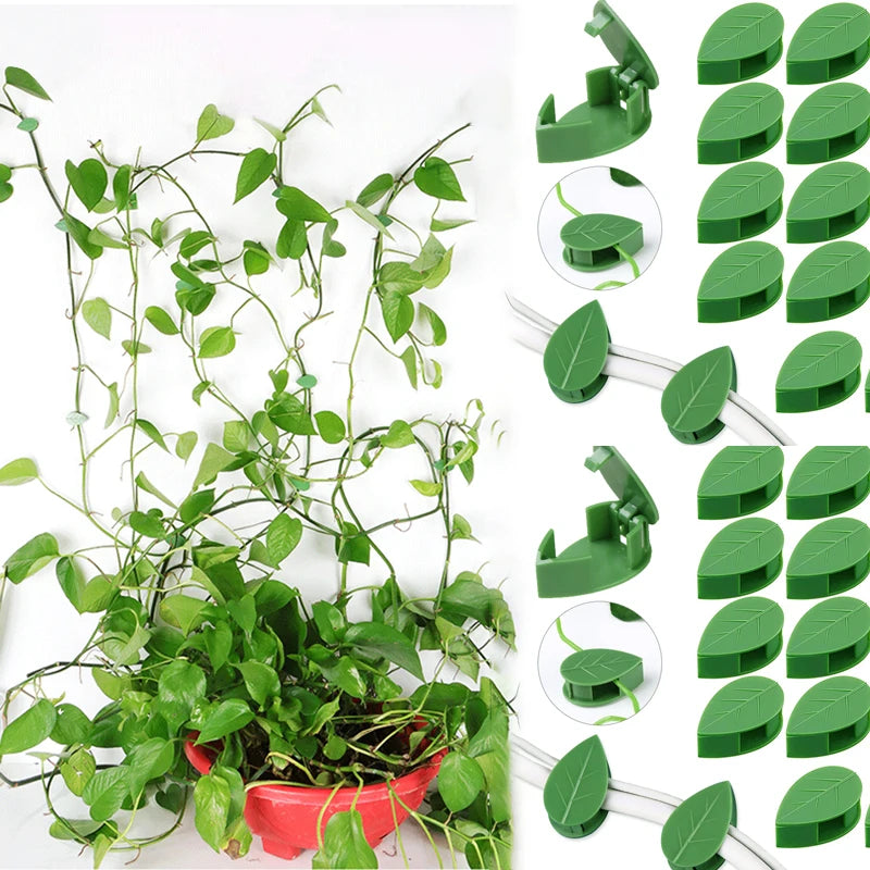 Invisible Plant Clip Climbing Wall Fixture Rattan Vine Bracket Fixed Buckle Leaf Clips Traction Holder Garden опора для растений