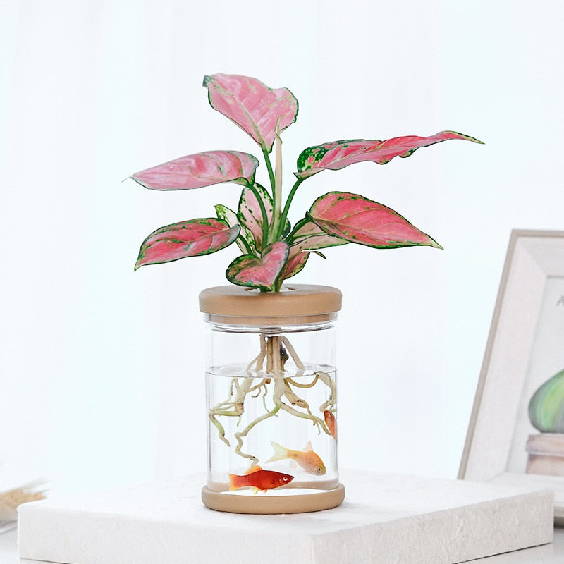 Mini Hydroponic Flower Pot Home Vase Decor Transparent Imitation Glass Soilless Plant Pots garden pots planters Home Decoration