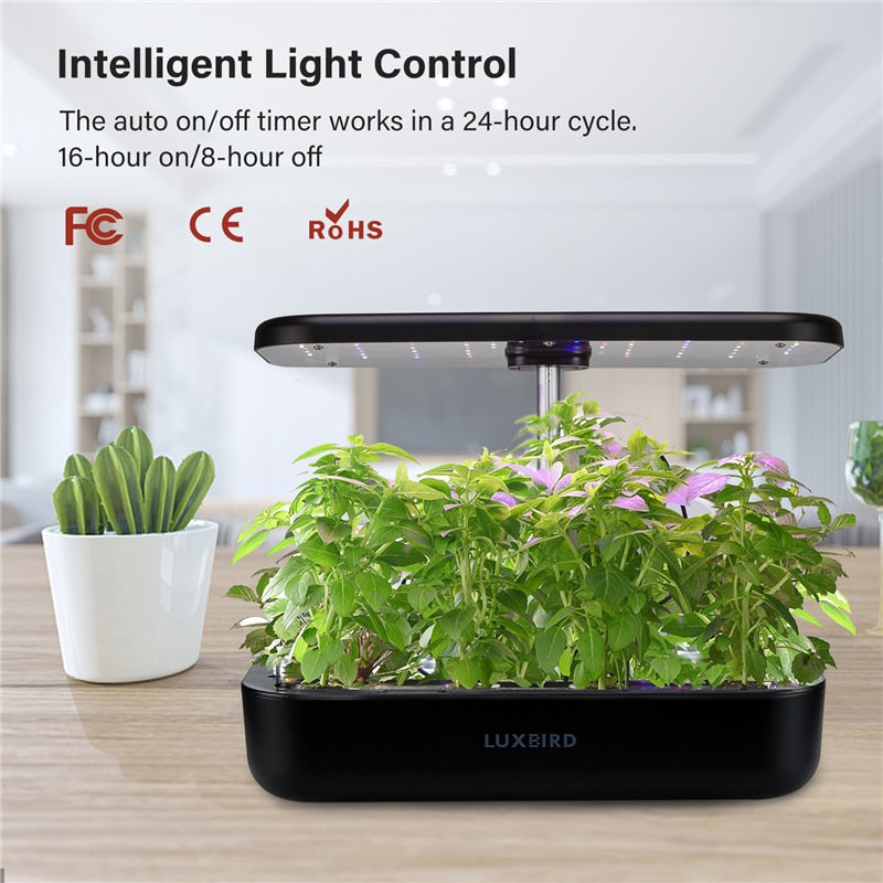 Automatic Nursery Pots Flower Vegetable Garden Pots Planter Hydroponics Growing System Indoor Herb Gardening Starter Kit