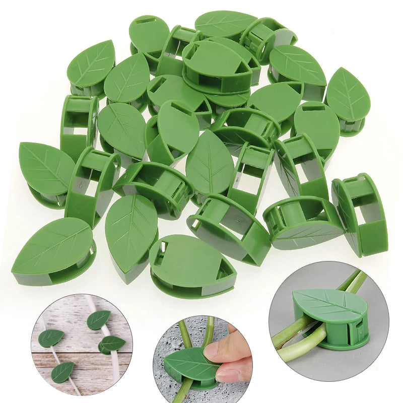 Invisible Plant Clip Climbing Wall Fixture Rattan Vine Bracket Fixed Buckle Leaf Clips Traction Holder Garden опора для растений