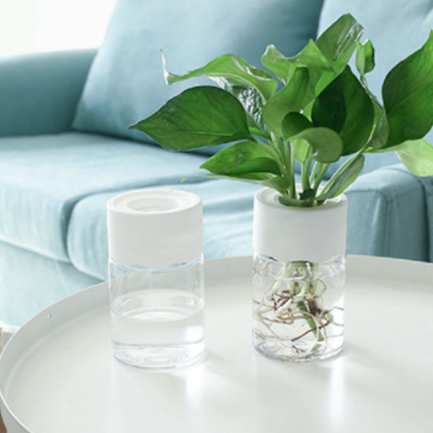 Transparent Flower Pot Water Planting Plant Pot Container Plastic Hydroponic Flowerpot Tabletop Plants Bonsai Home Decoration