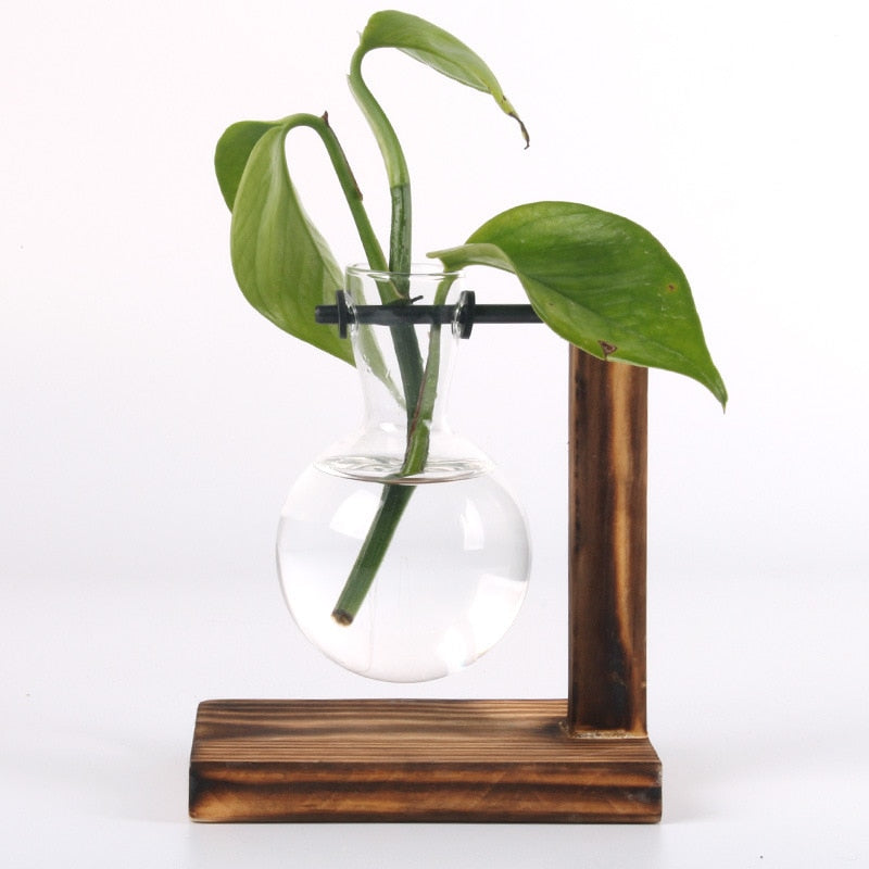 Terrarium Hydroponic Plant Vases Vintage Flower Pot Transparent Vase Wooden Frame Glass Tabletop Plants Home Bonsai Decor