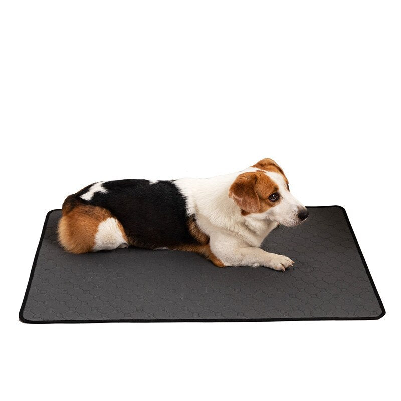 Dog Training Pad Washable Pet Pee Mat Super Absorbent Non-Slip Puppy Crate Mat Reusable Incontinence Pads for Dogs Cats Rabbit