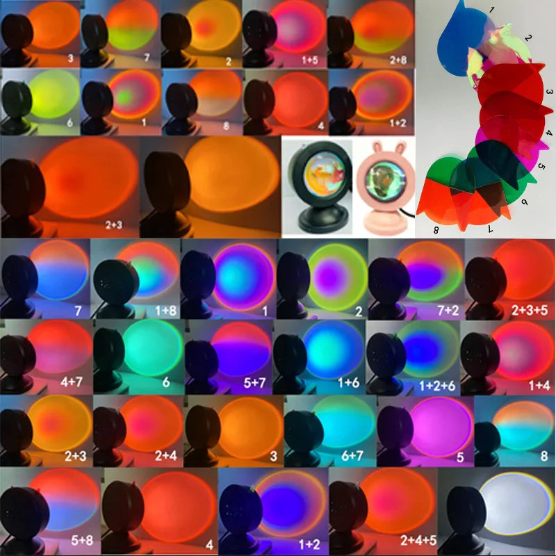 47841253097752|47841253130520|47841253163288