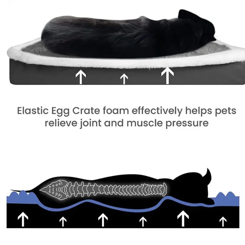 Short Plush Dog Bed with Non-slip Bottom Orthopedic Foam Dog Bed Removable Cover for Large Medium Small Dogs Machine Washable
