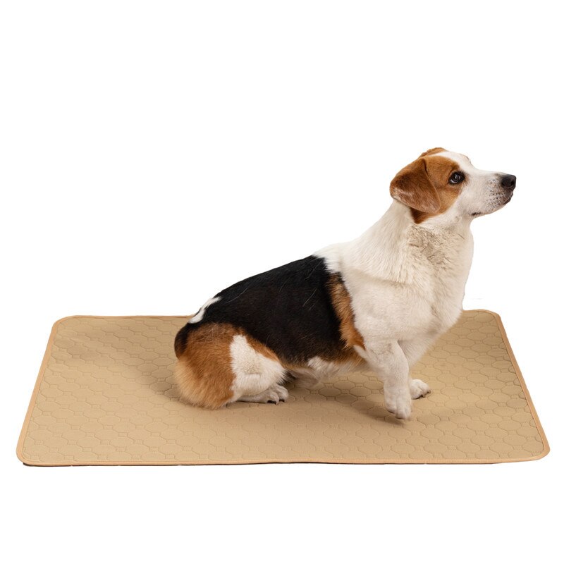 Dog Training Pad Washable Pet Pee Mat Super Absorbent Non-Slip Puppy Crate Mat Reusable Incontinence Pads for Dogs Cats Rabbit