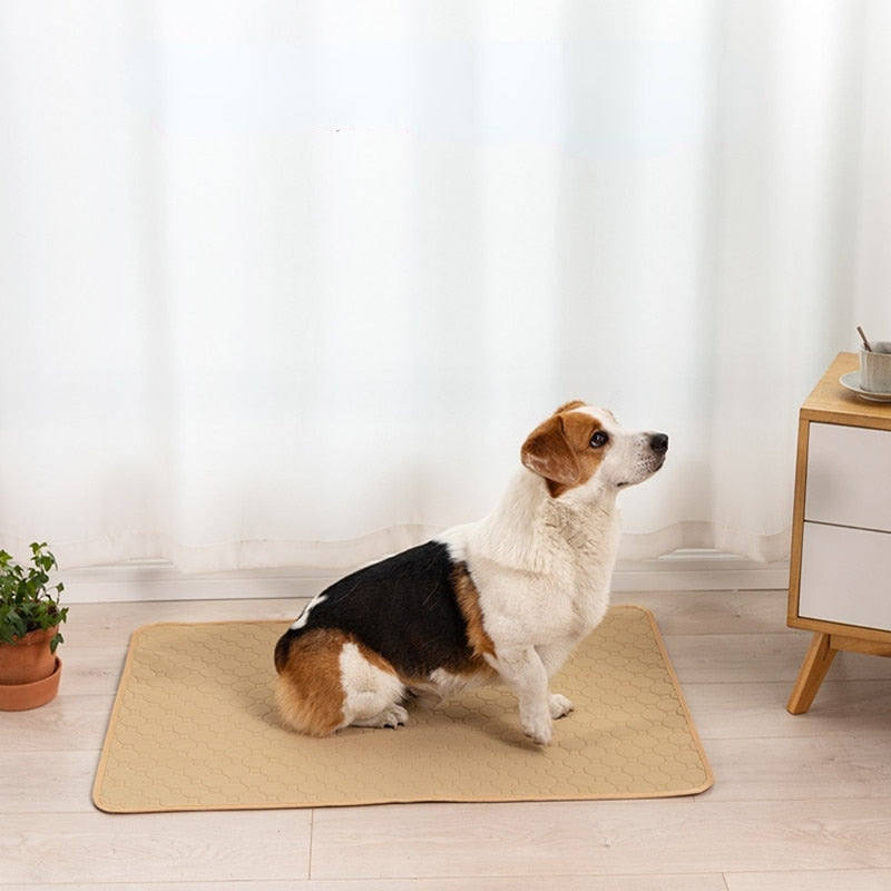 Dog Training Pad Washable Pet Pee Mat Super Absorbent Non-Slip Puppy Crate Mat Reusable Incontinence Pads for Dogs Cats Rabbit