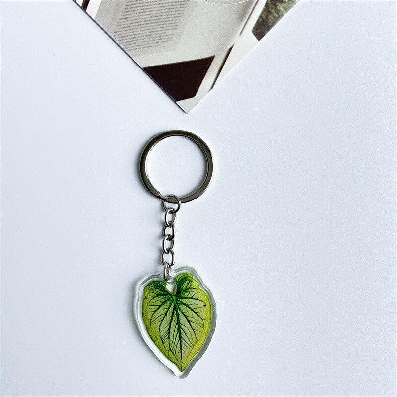 Rare Plant Acrylic Leaf Keychain Adasonii Leaf Foliage Key Chain Anthurium Plant Mom Gift Accessories for Car Keys Bag Charm