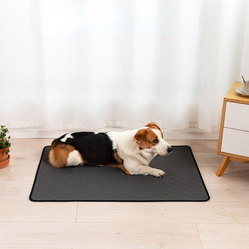 Dog Training Pad Washable Pet Pee Mat Super Absorbent Non-Slip Puppy Crate Mat Reusable Incontinence Pads for Dogs Cats Rabbit