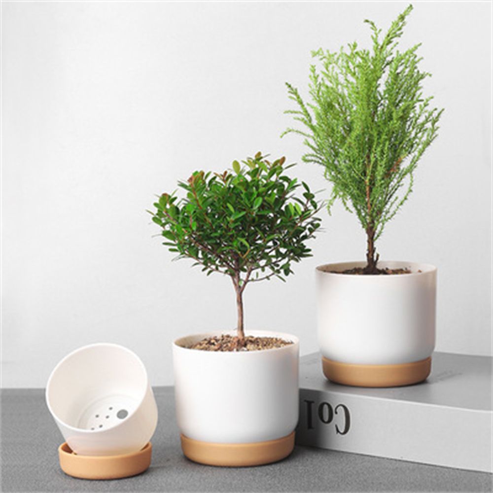 Automatic Water Absorption Plantpot Self Watering Lazy Flowerpot Round Double-layer Succulent Plant Small Green Plant Flowerpot
