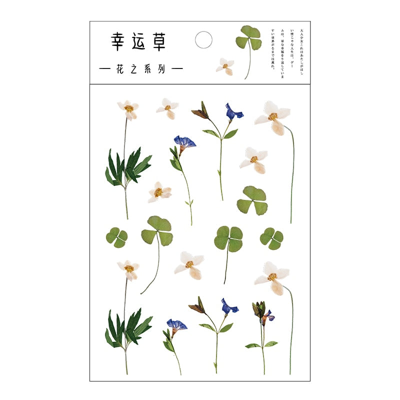 Yoofun Daisy Clover Babysbreath Fern Transparent PET Stickers