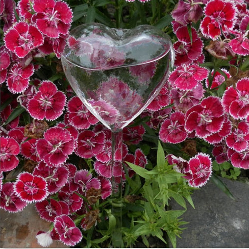 6 Types Glass Plant Flowers Water Feeder - Self Watering
