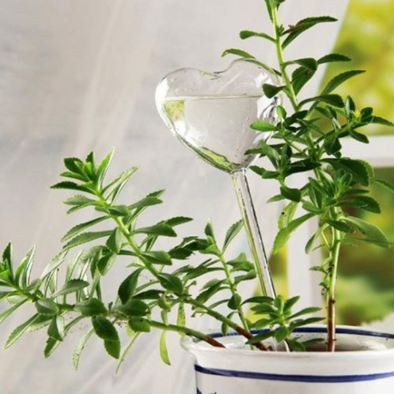 6 Types Glass Plant Flowers Water Feeder - Self Watering