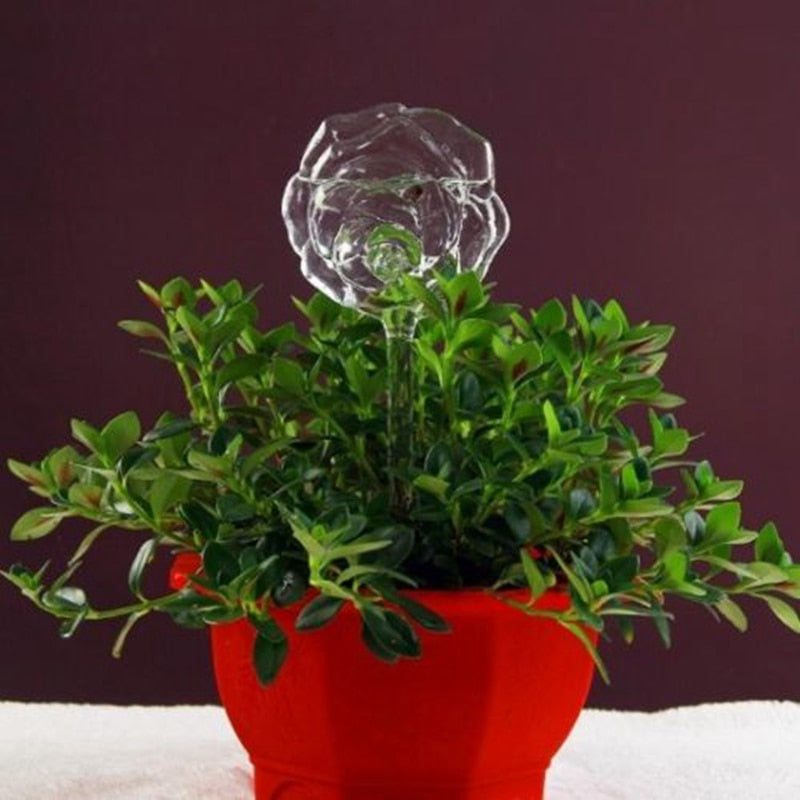 6 Types Glass Plant Flowers Water Feeder - Self Watering