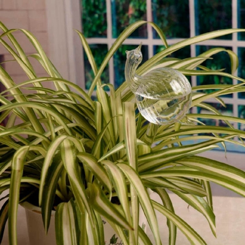 6 Types Glass Plant Flowers Water Feeder - Self Watering