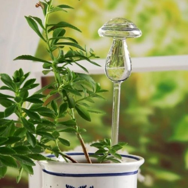 6 Types Glass Plant Flowers Water Feeder - Self Watering