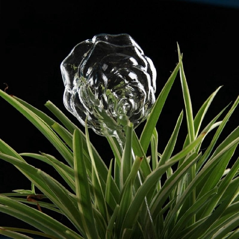 6 Types Glass Plant Flowers Water Feeder - Self Watering
