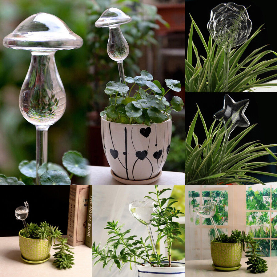 6 Types Glass Plant Flowers Water Feeder - Self Watering