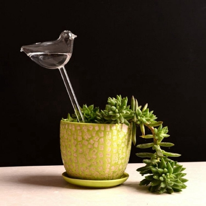 6 Types Glass Plant Flowers Water Feeder - Self Watering