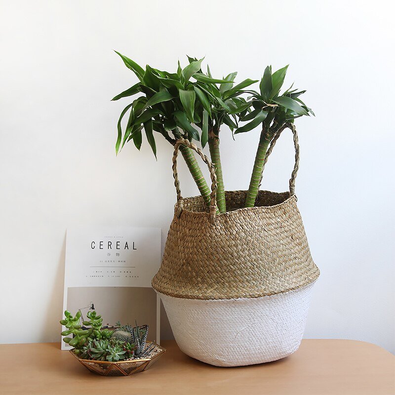 Seagrass Belly Storage Basket Handmade Straw Organizer Plant Pot Half Black Garden Flower Planter Nursery Basket
