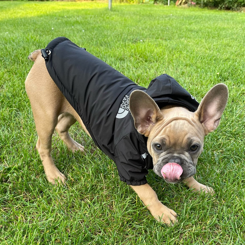 Waterproof Warm Cotton Hooded Jacket