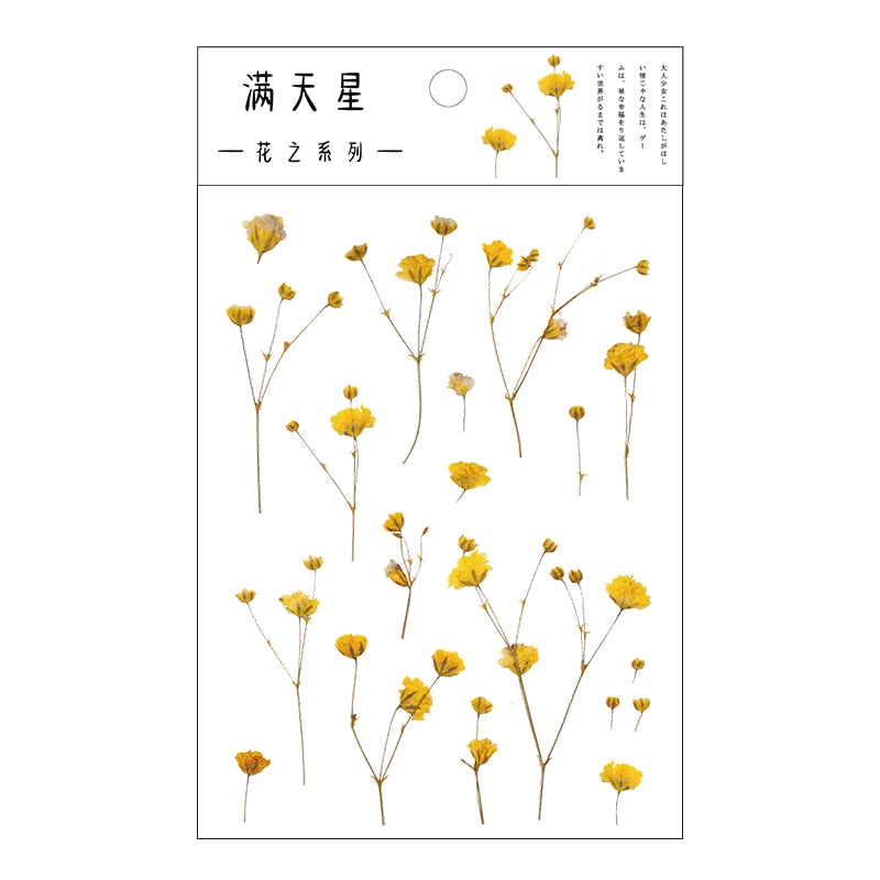 Yoofun Daisy Clover Babysbreath Fern Transparent PET Stickers
