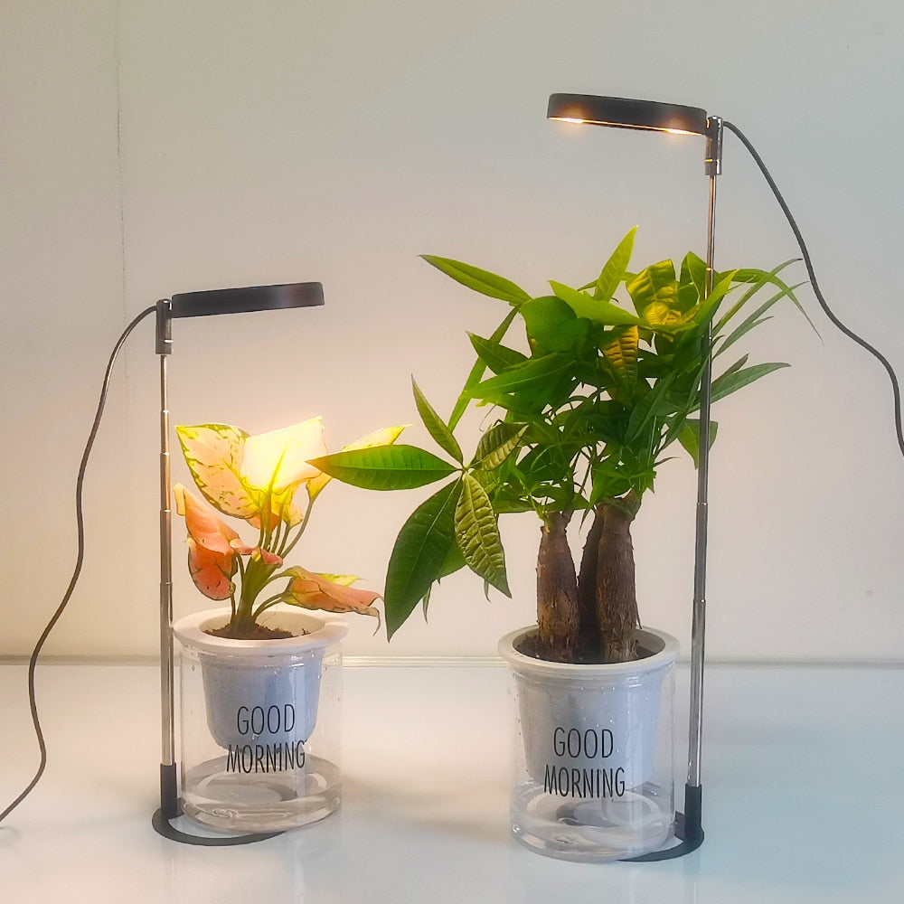 Grow Light Full Spectrum LED Plant Light for Indoor Plants Height Adjustable Growing Lamp with Timer 3/9/12H Dimmable Brightness