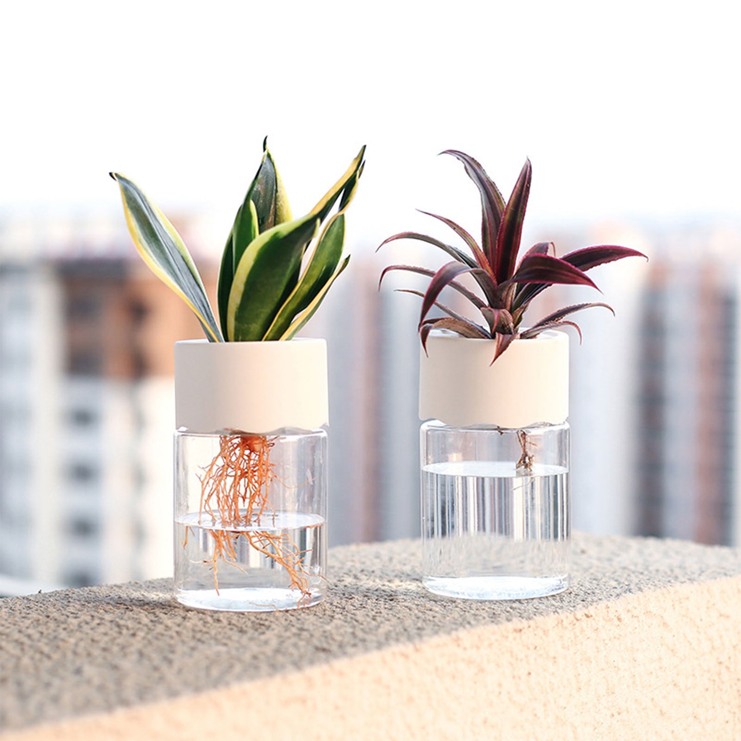 Transparent Flower Pot Water Planting Plant Pot Container Plastic Hydroponic Flowerpot Tabletop Plants Bonsai Home Decoration