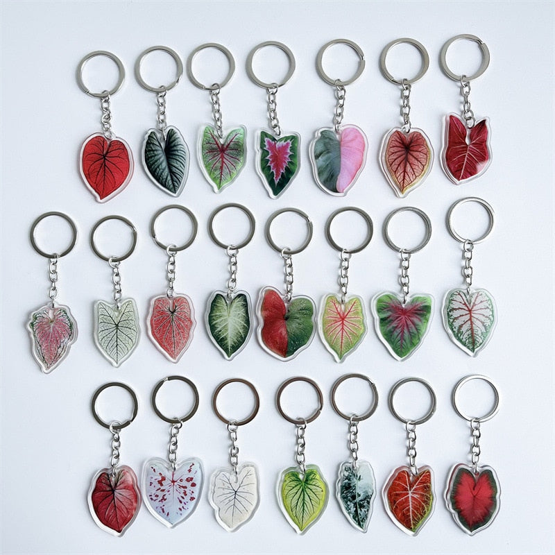 Rare Plant Acrylic Leaf Keychain Adasonii Leaf Foliage Key Chain Anthurium Plant Mom Gift Accessories for Car Keys Bag Charm