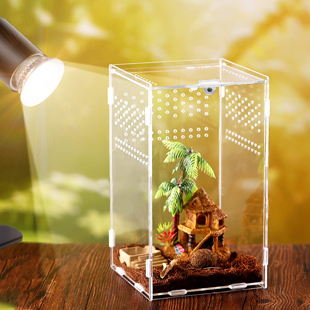 Reptile Habitat Terrarium Breeding Box for Spider Scorpion Sling Isopods Acrylic Case Nano Arboreal Tarantula Enclosure