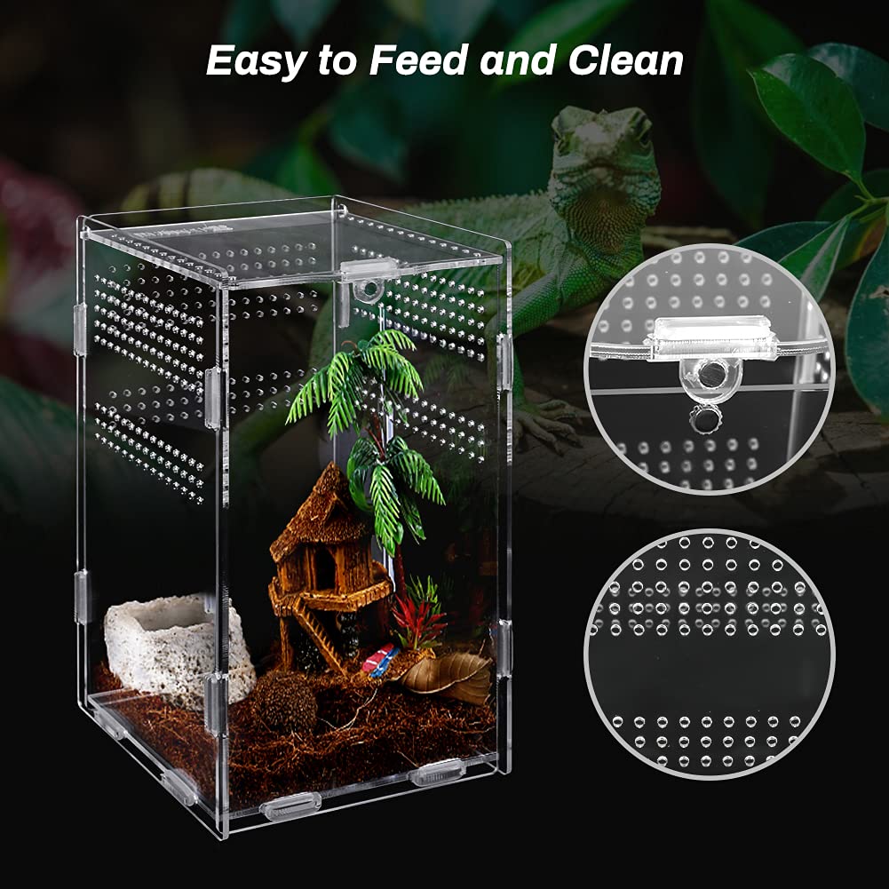 Reptile Habitat Terrarium Breeding Box for Spider Scorpion Sling Isopods Acrylic Case Nano Arboreal Tarantula Enclosure