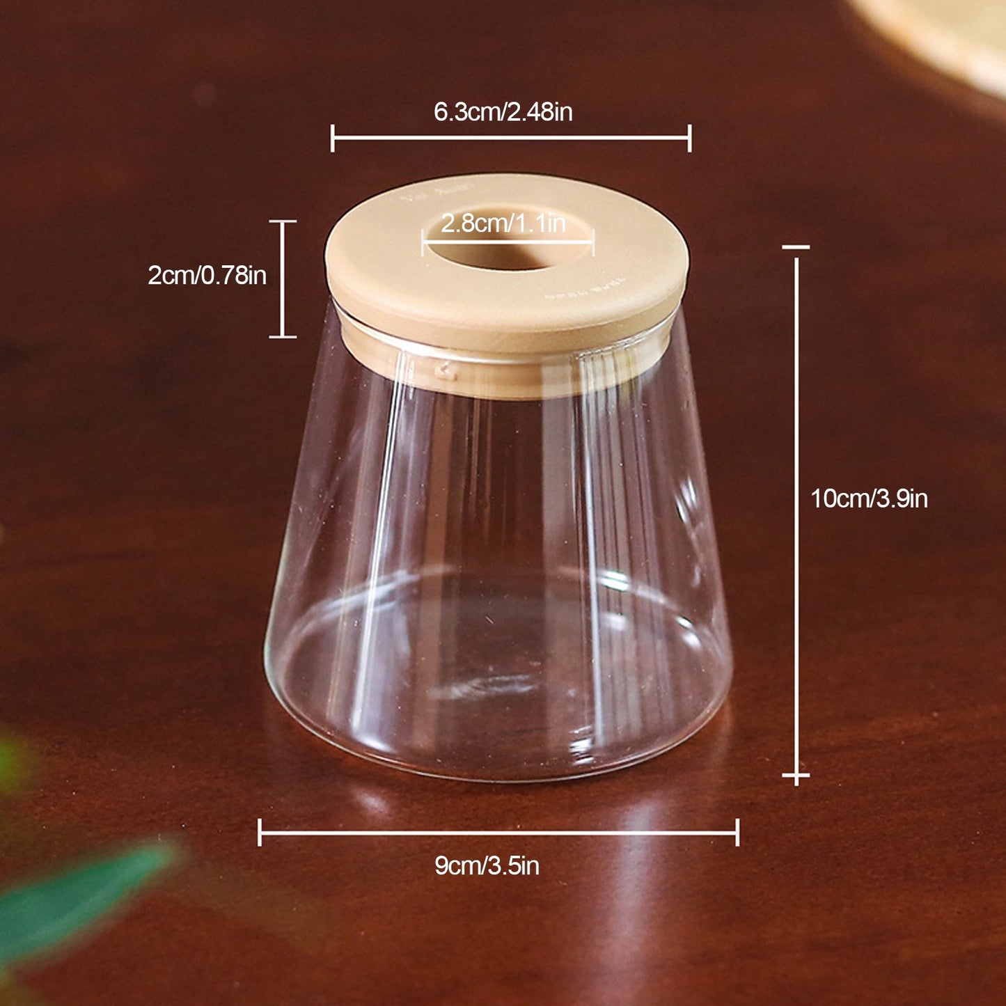 Mini Hydroponic Flower Pot